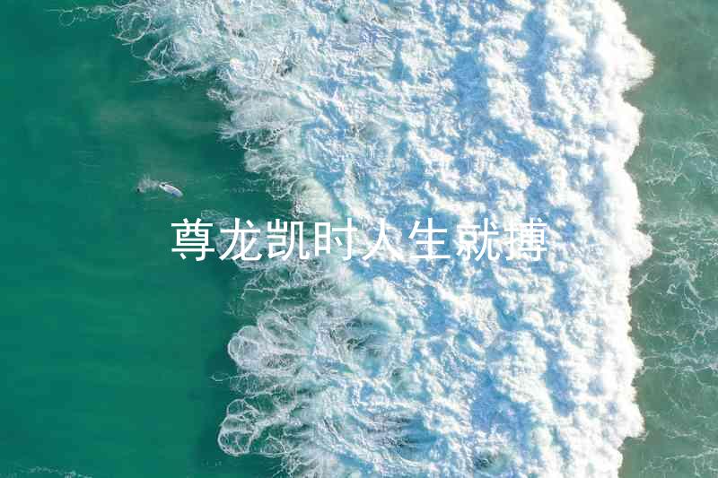 尊龙凯时人生就搏