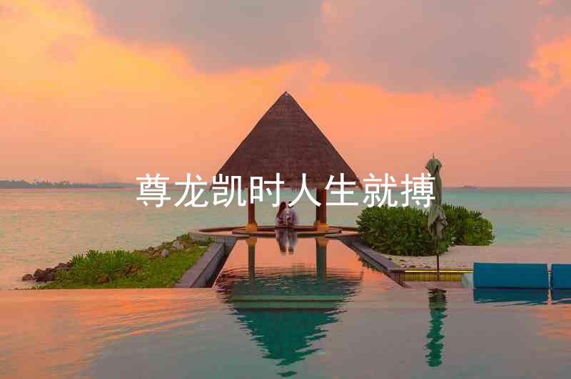 尊龙凯时人生就搏